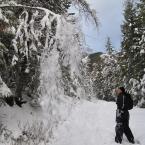 Зимний отпуск в Кутенае<br>Winter Holidays in Kootenay
